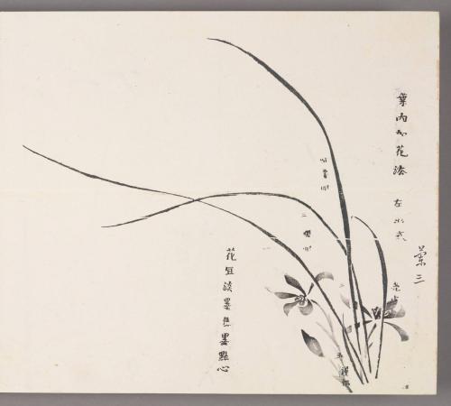 Rules of adding blossoms to leaves 葉內加花法