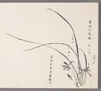 Rules of adding blossoms to leaves 葉內加花法