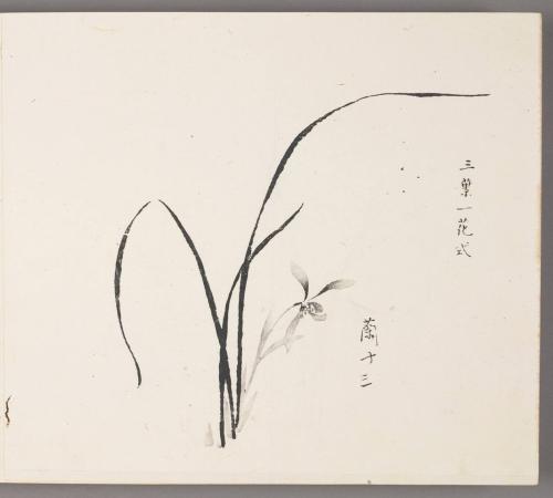 Method of three leaves and one blossom 三葉一花式