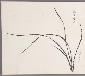 Transforming method emerging from the left 左出變式