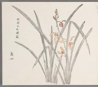In the manner of Sun Kehong's jian orchids 臨孫克弘建蘭
