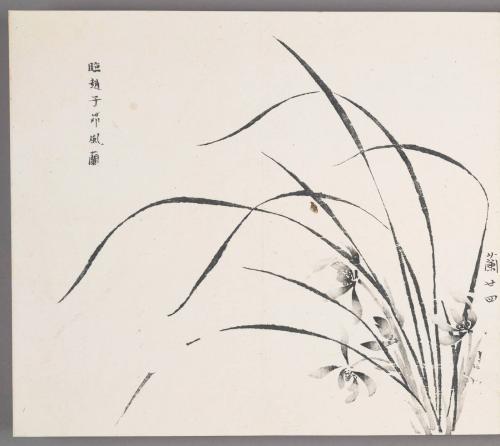In the manner of Zhao Zi-ang's orchids in wind 臨趙子昻風蘭