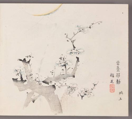 Flowering Plum in Moonlight

