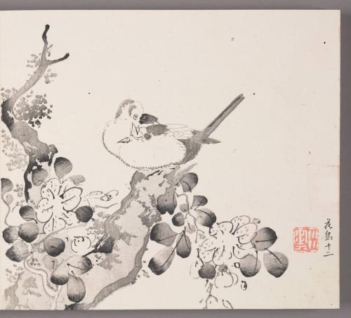 Birds Preening on Flowering Branch