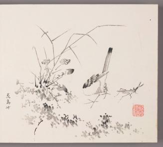 Sparrow and Praying Mantis amid Grass
