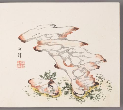 Rocks