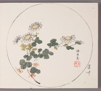 Chrysanthemums in Round Design