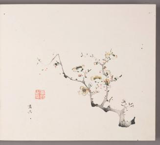 Flowering Plum Branch