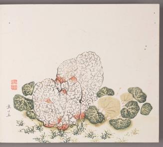 Rocks and Grasses