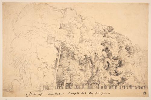 Cornelius Varley