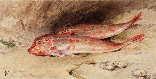 Myles Birket Foster