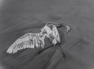 © Center for Creative Photography, The University of Arizona Foundation