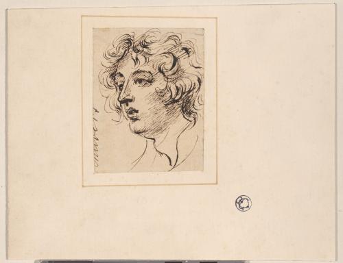 Head of a Youth