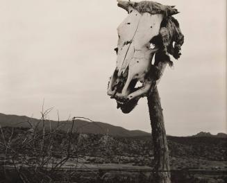 Skull, Arizona