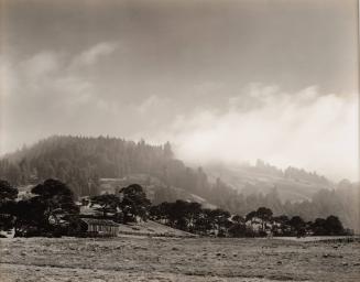 Sonoma Co.