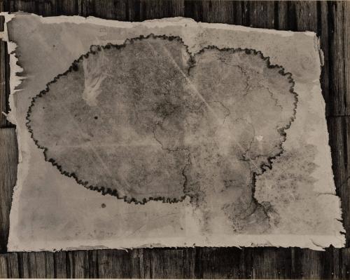 Water Stained Wallboard, Yosemite