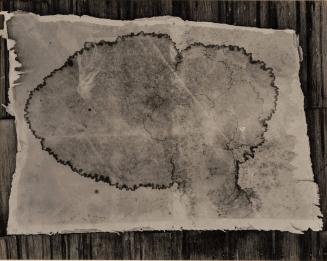Water Stained Wallboard, Yosemite