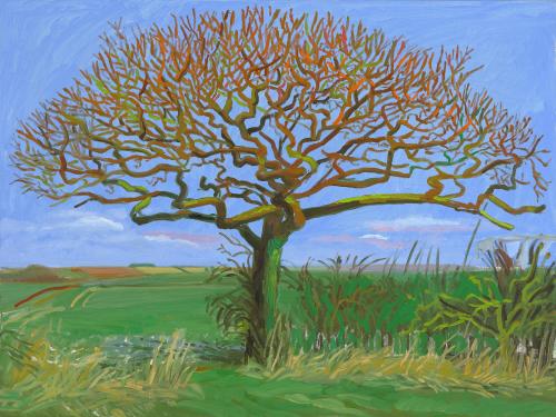 © Estate of David Hockney. Photo Credit: Richard Schmidt.