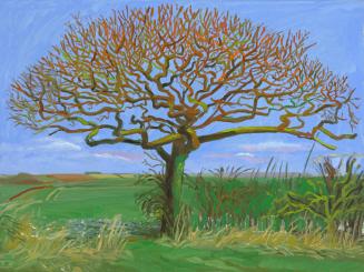 © Estate of David Hockney. Photo Credit: Richard Schmidt.