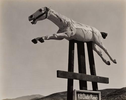 Horse, Riverside County