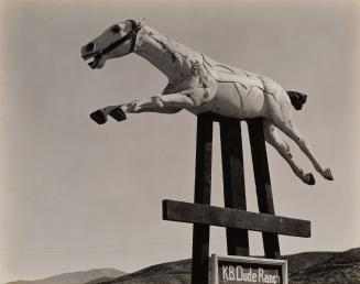 Horse, Riverside County