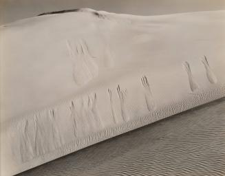 Oceano