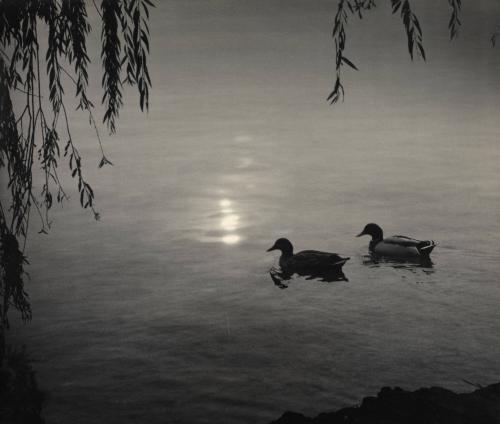 Roaming Pair