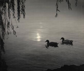 Roaming Pair