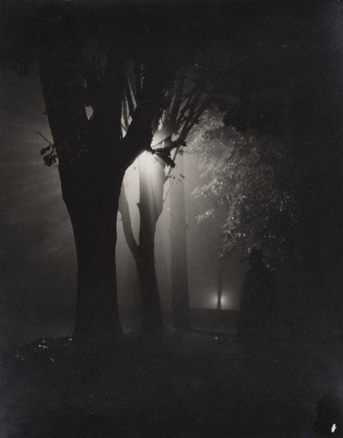Solitude