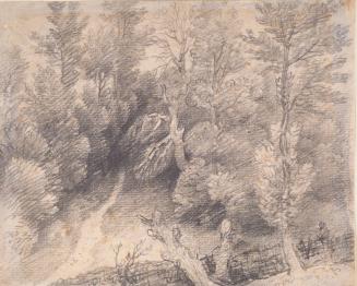 Early Tree Study