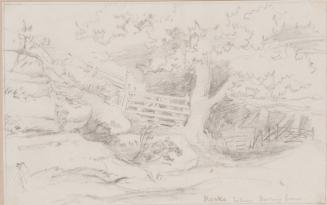 Barney Grove, Rocks Below