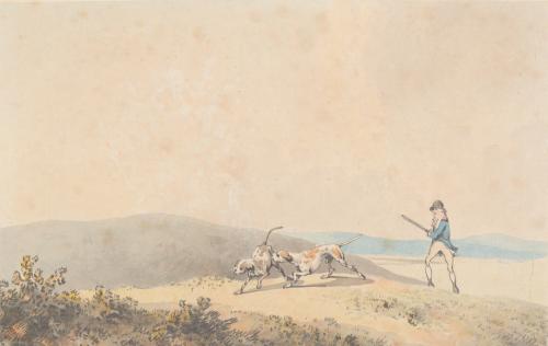 Partridge Shooting
