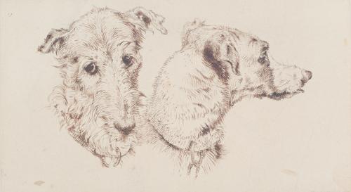 Studies of a Deer Hound