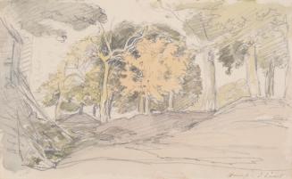 Cook's Farm, Hampstead