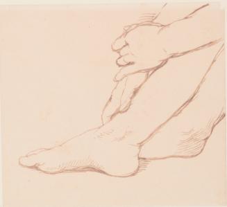 Hands and Feet Study