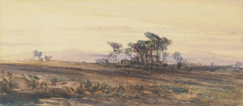 Heath Scene