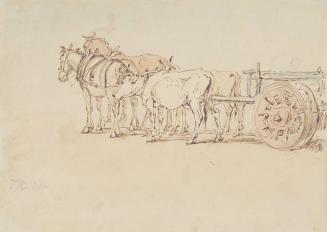Horses and Oxen