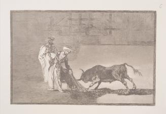 The Moors make a different play in the ring calling the bull with their burnous (Los moros hacen otro capeo en plaza con su albornoz)
