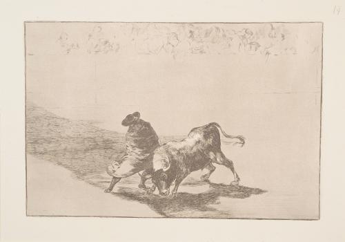 The very skillful student of Falces, wrapped in his cape, tricks the bull with the play of his body (El diestrismio estudiante de Falces, embozado, burla al toro con sus quiebras)