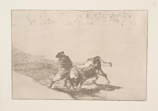 The very skillful student of Falces, wrapped in his cape, tricks the bull with the play of his body (El diestrismio estudiante de Falces, embozado, burla al toro con sus quiebras)