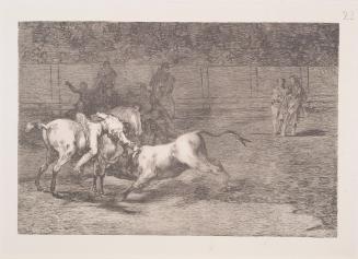 Mariano Ceballos, alias the Indian, kills the bull from his horse (Mariano Ceballos, alias el Indio, mata el toro desde su caballo)