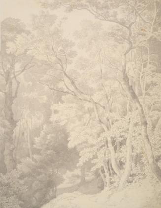 John White Abbott