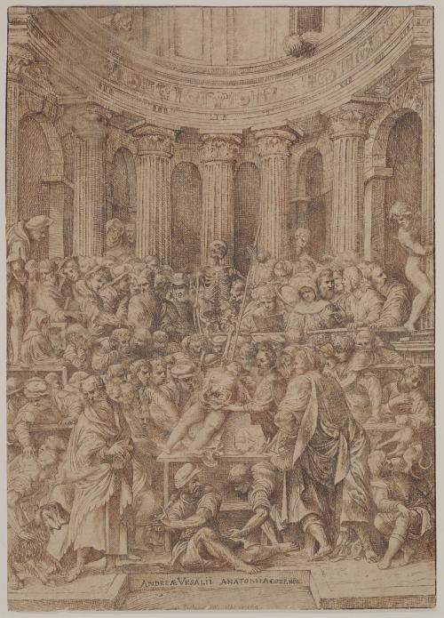 Title page for Andreas Vesalius' "Fabrica"