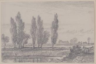 Poplars by a Stream