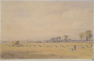 Hay Making