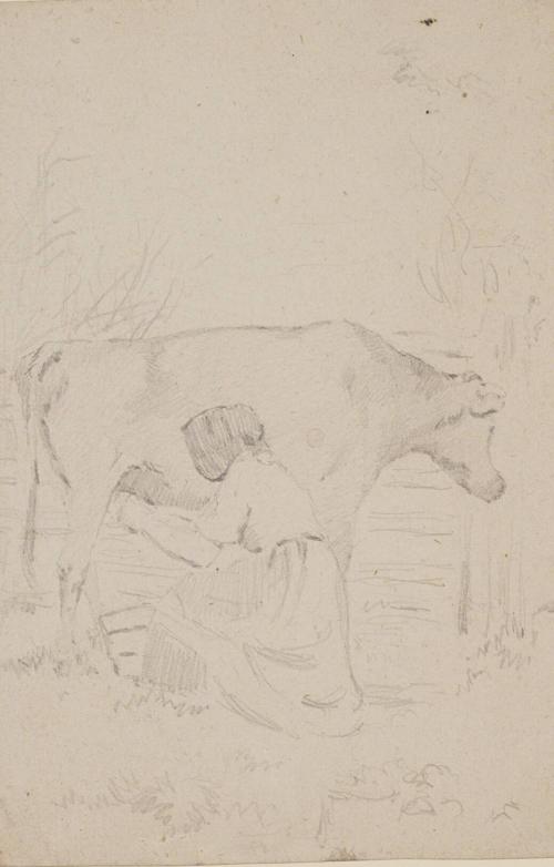 Woman Milking