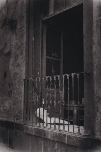 © Center for Creative Photography, The University of Arizona Foundation