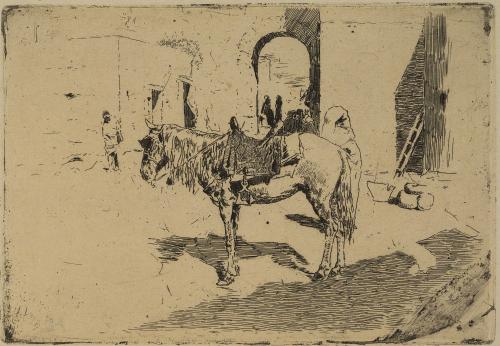A Moroccan Horse (Cheval du maroc)