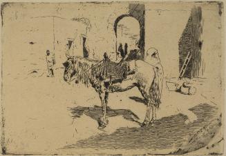 A Moroccan Horse (Cheval du maroc)
