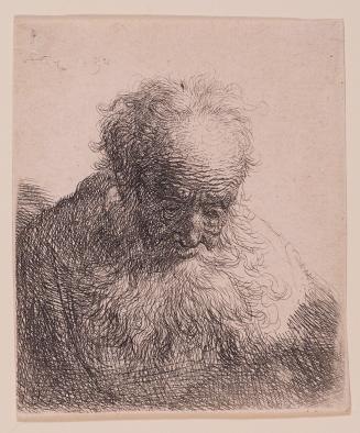 Bust of an Old Man with Flowing Beard: Head Bowed Forward: Left Shoulder Unshaded
